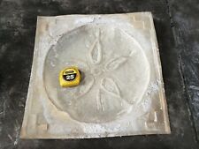 Used, Concrete Stepping Stone Mold, Sand Dollar for sale  Shipping to South Africa