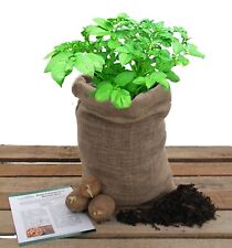 Potato growing kit for sale  GLASGOW