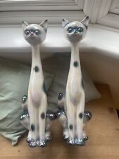 Cats pair jemma for sale  WOKING