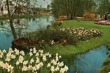 Used, Beautiful Flower Garden Windmills Netherland Holland Vintage Postcard Unposted for sale  Shipping to South Africa