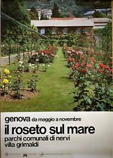 Roseto sul mare usato  Torino