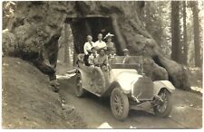 Sequoia National Park realphoto: road cut through giant tree, 1913, used for sale  Shipping to South Africa