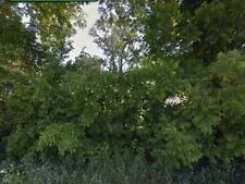 Cute vacant lot for sale  Grouse Creek