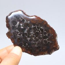 42g slice meteorites d'occasion  Expédié en Belgium