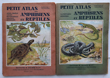 Petit atlas amphibiens d'occasion  Capendu