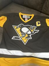 Mario lemieux jersey for sale  North Prairie