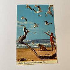 Feeding sea gulls for sale  New York