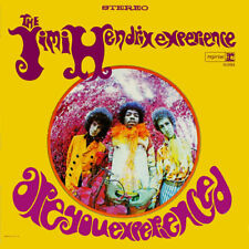 Jimi Hendrix - Are You Experienced [LP de vinilo usado] segunda mano  Embacar hacia Argentina
