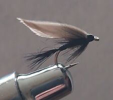 Black gnat trout for sale  Ireland