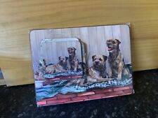 Border terriers place for sale  SWADLINCOTE