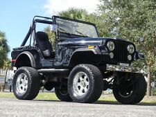 1980 jeep cj5 for sale  Palmetto