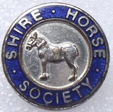 Equestrian shire horse for sale  TAMWORTH