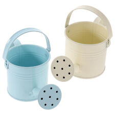 Metal watering cans for sale  Shipping to Ireland