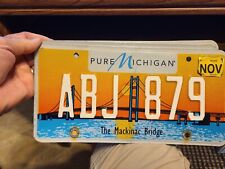 2018 michigan license for sale  Sartell