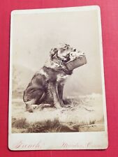 Sweet antique dog for sale  Kansas City