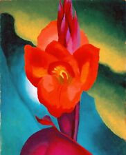 Print red canna for sale  Topsham