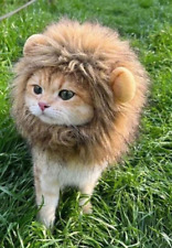 Cat lion mane for sale  Las Vegas