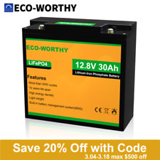 ECO-WORTHY 12V 30Ah LiFePO4 Li Battery 384Wh 3000+ cycles for RV Boat for sale  Shipping to South Africa