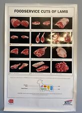 Lamb chart meat for sale  Saint Augustine