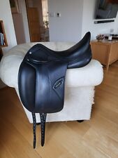 Amerigo pasubio dressage for sale  UK