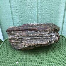 Large petrified log for sale  Gurdon