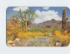 Usado, Cartão postal O Deserto em cores Saguaros Gigantes, Palo Verde e Flores do Deserto comprar usado  Enviando para Brazil