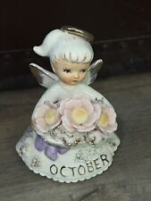 October angel cosmos for sale  Kokomo