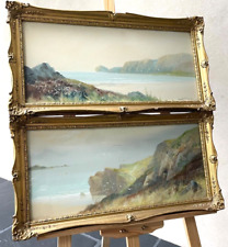 Watercolours beautiful pair for sale  BEDFORD