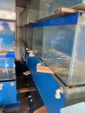 Fish tank split for sale  WORCESTER