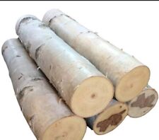 White birch log for sale  Mason