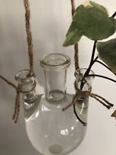 Plant propagation vase for sale  Arnold
