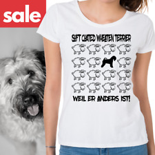 Sale wheaten terrier gebraucht kaufen  Kernst.-N., Hegn., Beinst.