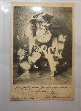 Katzenuhr 1902 katzen gebraucht kaufen  Braunschweig