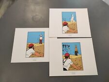 Tintin libris 2011 d'occasion  Salins