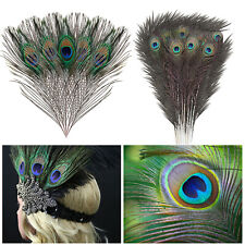 Peacock tail feathers for sale  Shipping to Ireland