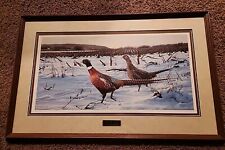 pheasants picture for sale  Ames