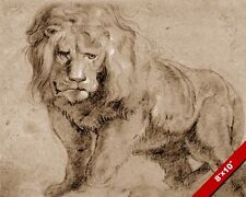 Lion large cat for sale  South Jordan