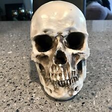 Resin skull head for sale  La Mesa