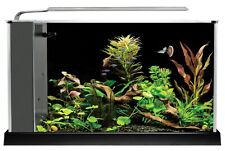 Fluval spec led usato  Spedire a Italy