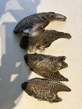 woodcock feathers for sale  DARLINGTON