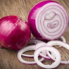 Red creole onion for sale  Tarpon Springs