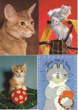 Cats modern postcards. for sale  UMBERLEIGH