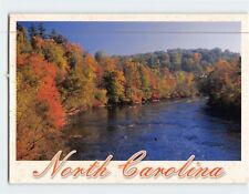 Postcard french broad for sale  Stevens Point