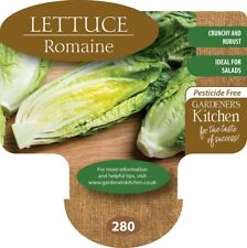 Lettuce plants romaine for sale  EVESHAM