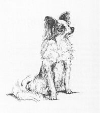 Papillon custom matted for sale  Tampa