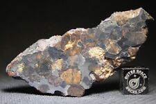 meteorite for sale  Rumson