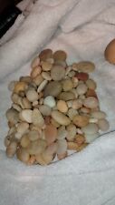 1/2 POUND Stone Pebbles For Aquarium, Art, Home Decor, Translucent, Terrarium , used for sale  Shipping to South Africa