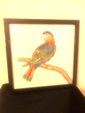 Blue parrot print for sale  Miami