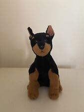 Trooper doberman pinscher for sale  CARDIGAN