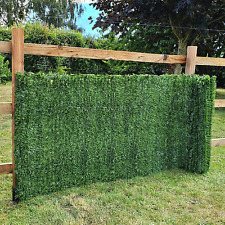 Conifer hedge privacy for sale  UK